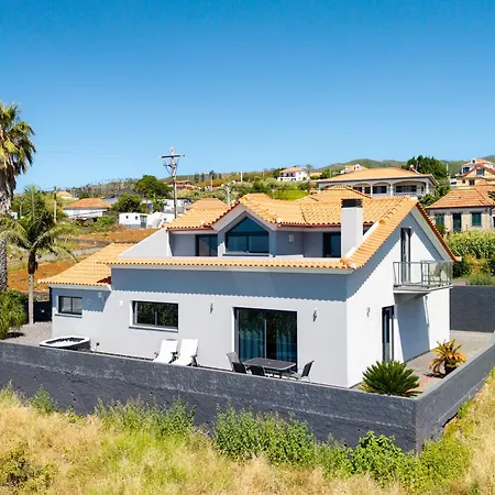 Werner By Madeira Dream *