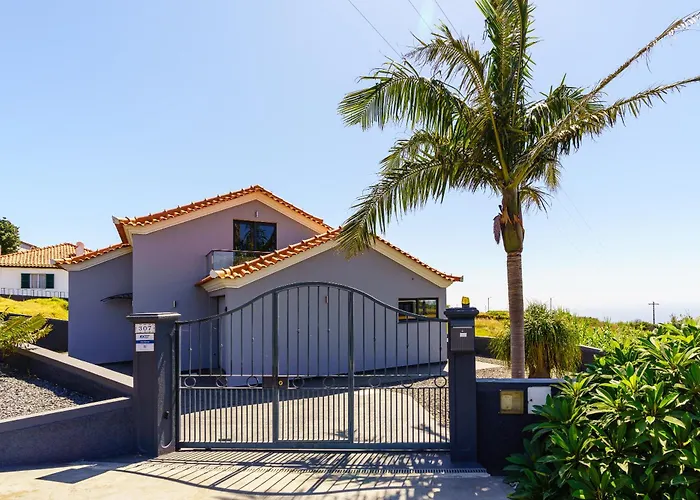 Werner By Madeira Dream