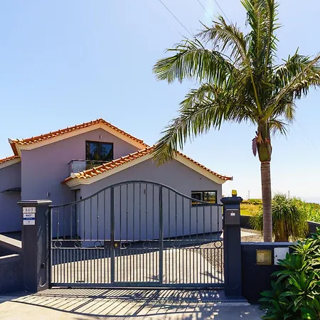 Werner By Madeira Dream