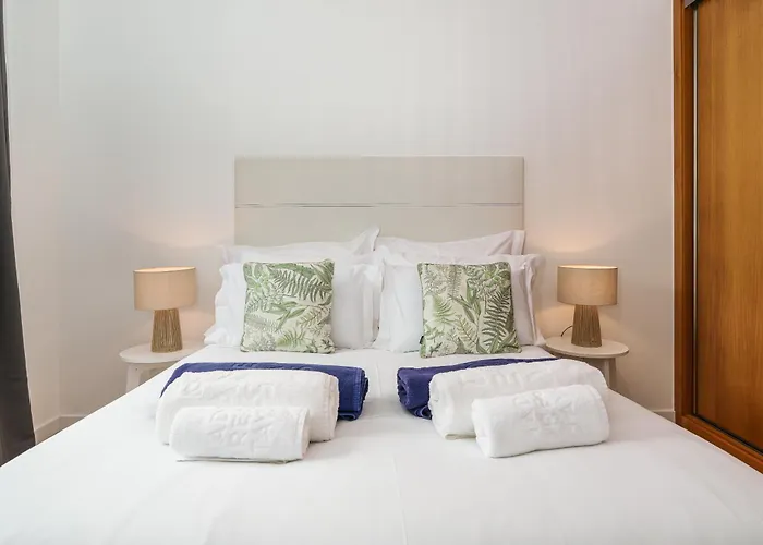 Werner By Madeira Dream